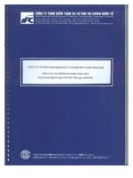 Báo cáo tài chính quý 2 năm 2011 (đã soát xét) - Công ty Cổ phần Khai khoáng và Cơ khí Hữu nghị Vĩnh Sinh