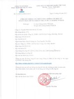 Báo cáo tài chính công ty mẹ quý 1 năm 2015 - Công ty Cổ phần Phát triển Đô thị Từ Liêm
