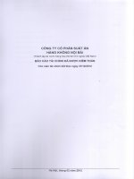 Báo cáo tài chính năm 2012 (đã kiểm toán) - CTCP Suất ăn Hàng không Nội Bài