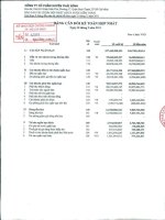 Báo cáo tài chính hợp nhất quý 3 năm 2011 - Công ty Cổ phần Tập đoàn PAN