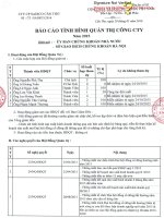 Báo cáo tình hình quản trị công ty - Công ty Cổ phần Đầu tư và Phát triển Gas Đô Thị