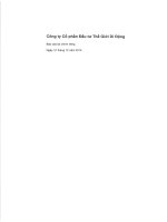 Báo cáo tài chính công ty mẹ năm 2014 (đã kiểm toán) - Công ty cổ phần Đầu tư Thế giới Di động