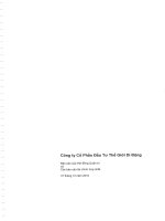 Báo cáo tài chính hợp nhất năm 2010 (đã kiểm toán) - Công ty cổ phần Đầu tư Thế giới Di động