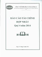 Báo cáo tài chính hợp nhất quý 4 năm 2014 - Công ty Cổ phần Đầu tư Cầu đường CII