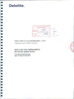 Báo cáo tài chính công ty mẹ năm 2014 (đã kiểm toán) - Tổng Công ty Gas Petrolimex-CTCP