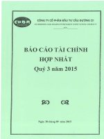 Báo cáo tài chính hợp nhất quý 3 năm 2015 - Công ty Cổ phần Đầu tư Cầu đường CII