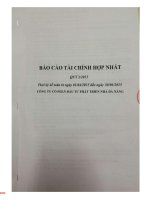 Báo cáo tài chính hợp nhất quý 2 năm 2015 - Công ty Cổ phần Đầu tư Phát triển Nhà Đà Nẵng