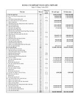 Báo cáo tài chính quý 1 năm 2010 - Công ty Cổ phần Thủy điện Nà Lơi