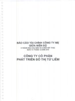 Báo cáo tài chính công ty mẹ quý 2 năm 2015 (đã soát xét) - Công ty Cổ phần Phát triển Đô thị Từ Liêm