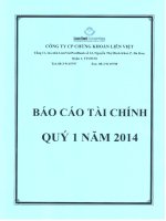 Báo cáo tài chính quý 1 năm 2014 - Công ty cổ phần Chứng khoán Liên Việt