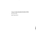 Báo cáo tài chính công ty mẹ quý 1 năm 2016 - Công ty cổ phần Phát triển Đô thị Nam Hà Nội