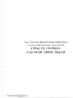 Báo cáo tài chính năm 2015 (đã kiểm toán) - Công ty cổ phần Cấp nước Nhơn Trạch