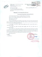 Báo cáo tài chính hợp nhất quý 2 năm 2014 (đã soát xét) - Công ty cổ phần Điện nhẹ Viễn thông