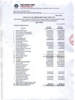 Báo cáo tài chính hợp nhất quý 2 năm 2009 - Công ty Cổ phần Tập đoàn PAN