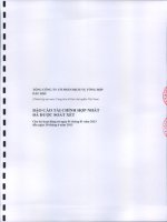 Báo cáo tài chính hợp nhất quý 2 năm 2013 (đã soát xét) - Tổng Công ty Cổ phần Dịch vụ Tổng hợp Dầu khí