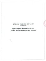 Báo cáo tài chính hợp nhất quý 4 năm 2014 - Công ty cổ phần Đầu tư và Phát triển Đô thị Long Giang