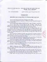 Nghị quyết Hội đồng Quản trị - Công ty Cổ phần Bột giặt Lix