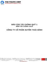 Báo cáo tài chính hợp nhất quý 1 năm 2010 - Công ty Cổ phần Tập đoàn PAN