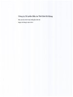 Báo cáo tài chính hợp nhất quý 2 năm 2014 (đã soát xét) - Công ty cổ phần Đầu tư Thế giới Di động