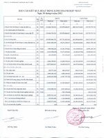 Báo cáo KQKD hợp nhất quý 2 năm 2012 - Công ty Cổ phần Phát triển Đô thị Từ Liêm