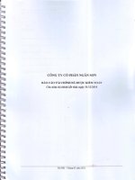 Báo cáo tài chính năm 2010 (đã kiểm toán) - Công ty Cổ phần Ngân Sơn
