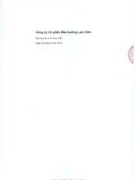Báo cáo tài chính hợp nhất quý 2 năm 2015 (đã soát xét) - Công ty Cổ phần Mía đường Lam Sơn