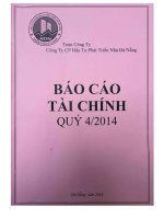 Báo cáo tài chính công ty mẹ năm 2014 (đã kiểm toán) - Công ty Cổ phần Đầu tư Phát triển Nhà Đà Nẵng