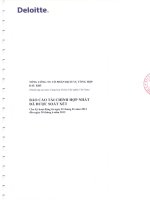 Báo cáo tài chính hợp nhất quý 2 năm 2012 (đã soát xét) - Tổng Công ty Cổ phần Dịch vụ Tổng hợp Dầu khí