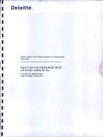 Báo cáo tài chính hợp nhất năm 2013 (đã kiểm toán) - Tổng Công ty Cổ phần Dịch vụ Tổng hợp Dầu khí