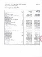 Báo cáo tài chính công ty mẹ quý 1 năm 2012 - Ngân hàng Thương mại Cổ phần Quân đội
