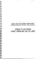 Báo cáo tài chính hợp nhất năm 2010 (đã kiểm toán) - Công ty Cổ phần Phát triển Đô thị Từ Liêm