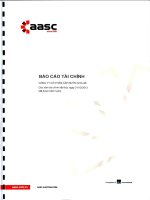 Báo cáo tài chính năm 2013 (đã kiểm toán) - Công ty Cổ phần Cấp nước Nhà Bè