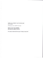 Báo cáo tài chính năm 2011 (đã kiểm toán) - Công ty cổ phần Dịch vụ Vận tải Dầu khí Cửu Long