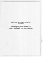 Báo cáo tài chính hợp nhất quý 2 năm 2014 - Công ty cổ phần Đầu tư và Phát triển Đô thị Long Giang