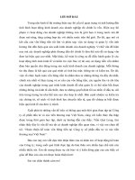 Hoàn thiện kế toán vốn bằng tiền tại Công ty cổ phần đầu tư và xúc tiến thương mại Việt Nam