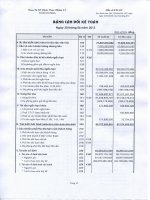 Báo cáo tài chính quý 2 năm 2013 - CTCP Dược phẩm 2-9 TP. Hồ Chí Minh