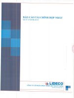 Báo cáo tài chính hợp nhất quý 2 năm 2015 - Công ty Cổ phần Phát triển Đô thị Từ Liêm