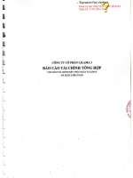 Báo cáo tài chính công ty mẹ năm 2015 (đã kiểm toán) - Công ty Cổ phần Lilama 3