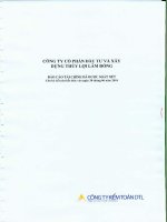 Báo cáo tài chính quý 2 năm 2010 - Công ty Cổ phần Đầu tư và Xây dựng Thủy lợi Lâm Đồng