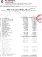 Báo cáo tài chính quý 4 năm 2008 - Công ty Cổ phần Tập đoàn PAN
