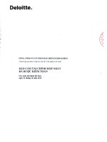 Báo cáo tài chính hợp nhất năm 2015 (đã kiểm toán) - Tổng Công ty cổ phần Bảo hiểm Petrolimex