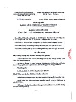 Nghị quyết Đại hội cổ đông bất thường ngày 29-10-2010 - Tổng Công ty Cổ phần Dịch vụ Tổng hợp Dầu khí