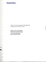 Báo cáo tài chính năm 2013 (đã kiểm toán) - Công ty cổ phần Bao bì Dầu khí Việt Nam