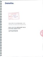 Báo cáo tài chính hợp nhất năm 2013 (đã kiểm toán) - Tổng Công ty Gas Petrolimex-CTCP