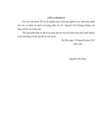 Quy hoạch hệ thống cấp nước cho Quận Cẩm Lệ  Đà Nẵng giai đoạn 2015  2025