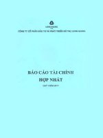 Báo cáo tài chính hợp nhất quý 1 năm 2011 - Công ty cổ phần Đầu tư và Phát triển Đô thị Long Giang