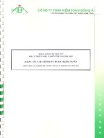 Báo cáo tài chính năm 2012 (đã kiểm toán) - Tổng Công ty Đầu tư Phát triển Nhà và Đô thị Nam Hà Nội
