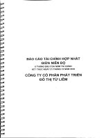 Báo cáo tài chính quý 2 năm 2010 (đã kiểm toán) - Công ty Cổ phần Phát triển Đô thị Từ Liêm