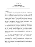 skkn công tác chủ nhiệm lớp với tiết sinh hoạt cuối tuần ở lớp 1 