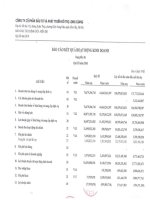 Báo cáo KQKD công ty mẹ quý 3 năm 2010 - Công ty cổ phần Đầu tư và Phát triển Đô thị Long Giang